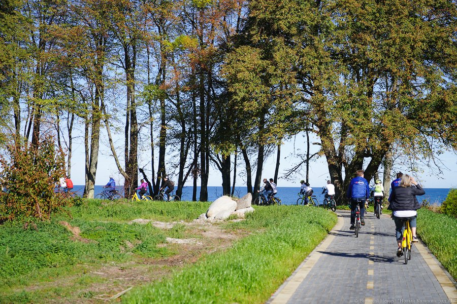 Члены правительства Калининградской области и европейские дипломаты устроили заезд по велодорожке «от косы до косы». Фото: gov.39