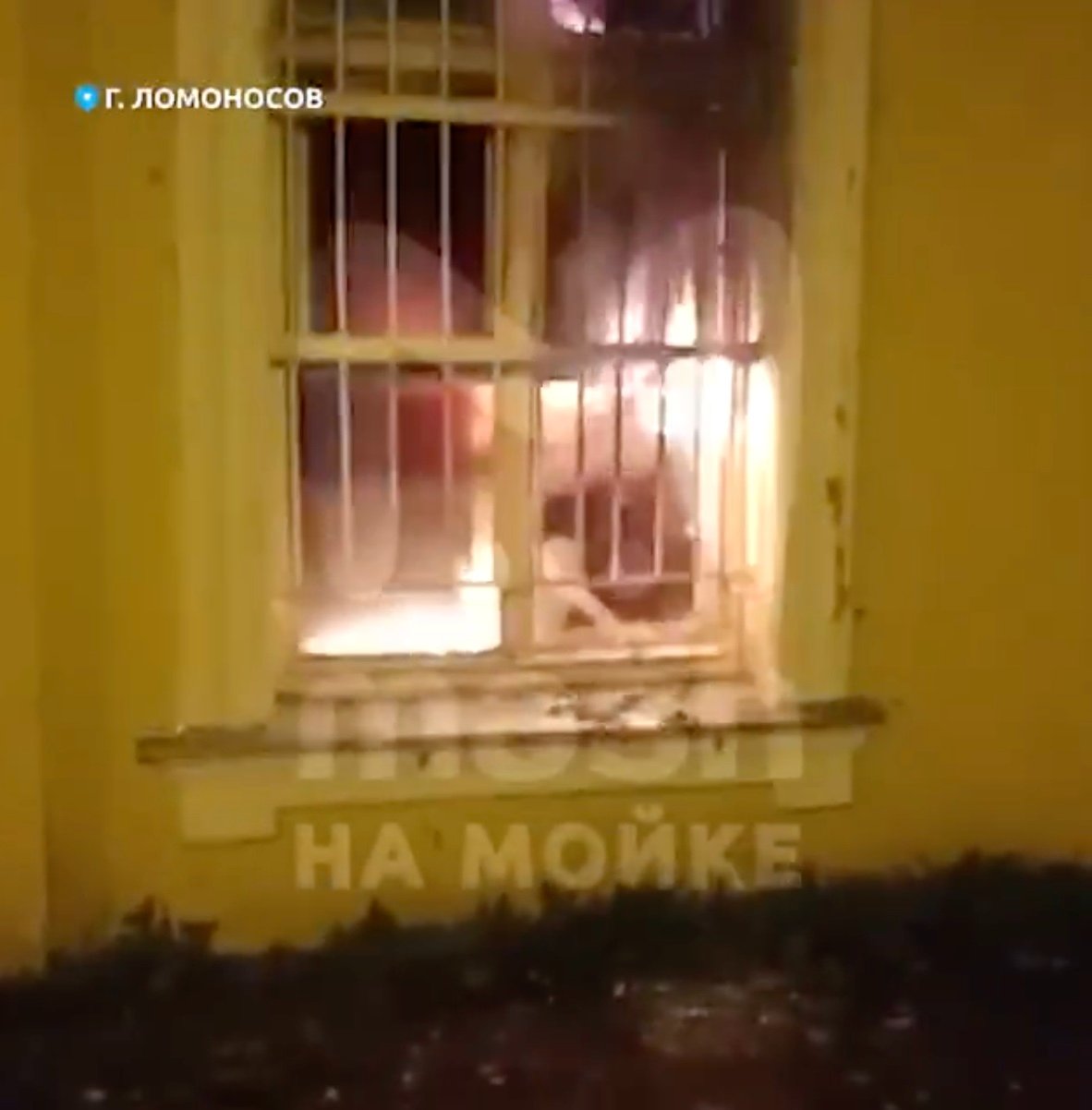 Фото: скрин видео