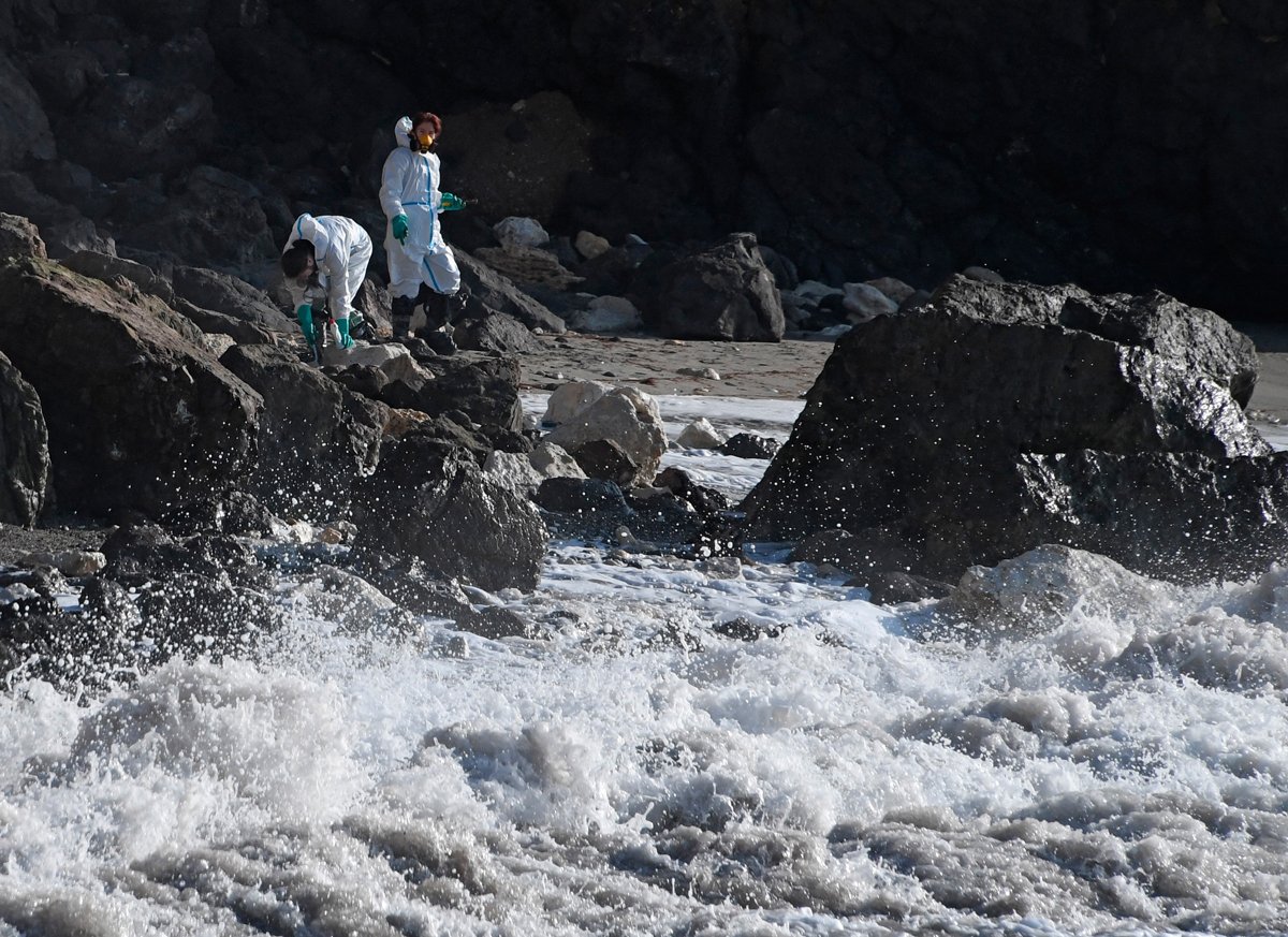 Волонтеры и местные жители работают над очисткой от мазута на пляже «Царское село» мыса Фиолент в Крыму, 9 января 2025 года. Фото: Виктор Коротаев / Коммерсантъ / Sipa USA / Vida Press