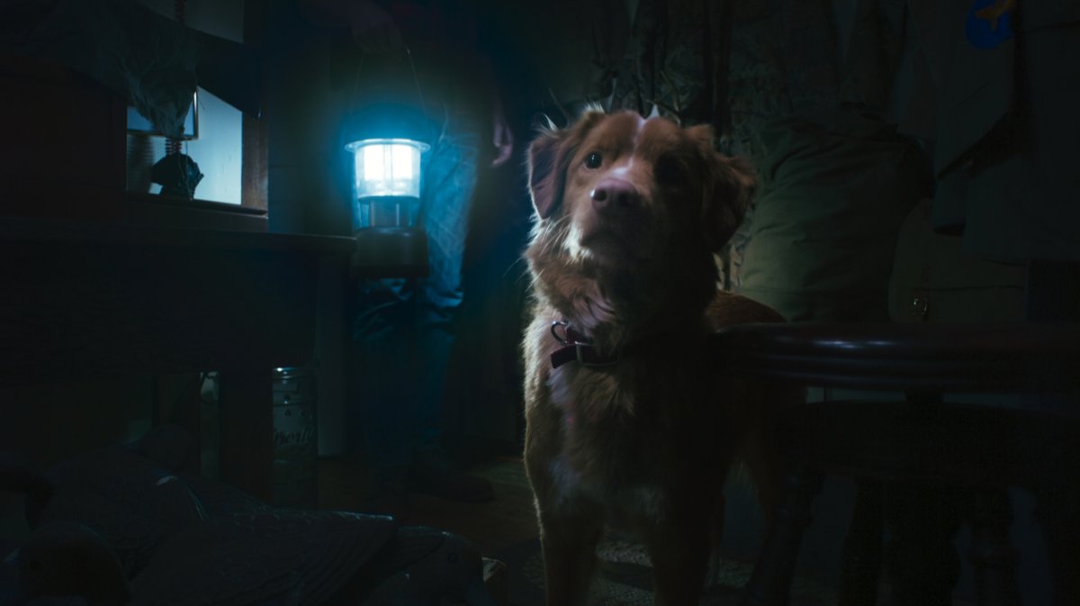 Пес его знает