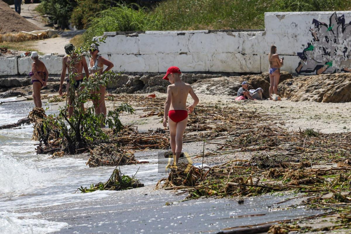 Вырванные из плавней небольшие деревья, кусты, подводная растительность. Фото: Telegram