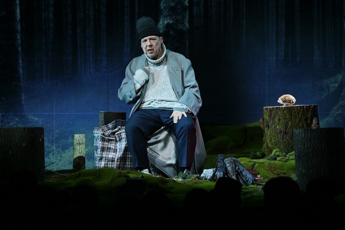 Показ спектакля «Медитативный ёж» в рамках проекта «Голоса страны», 6 апреля 2024 года. Фото: Евгений Биятов / РИА Новости / russia.ru