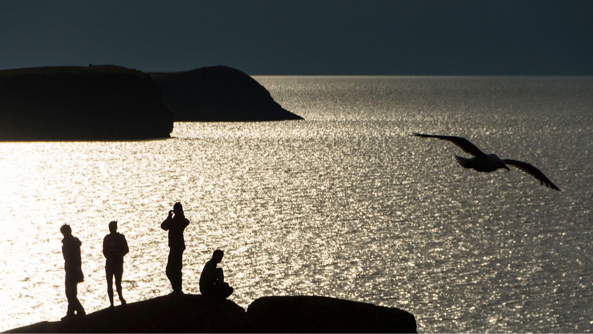 Скандальный закон о рубках лесов на Байкале спешат принять перед Новым годом