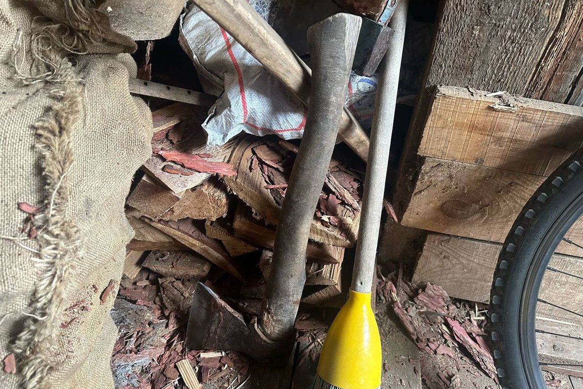 Фото: ГСУ СК России по Красноярскому краю и Республике Хакасия / Telegram