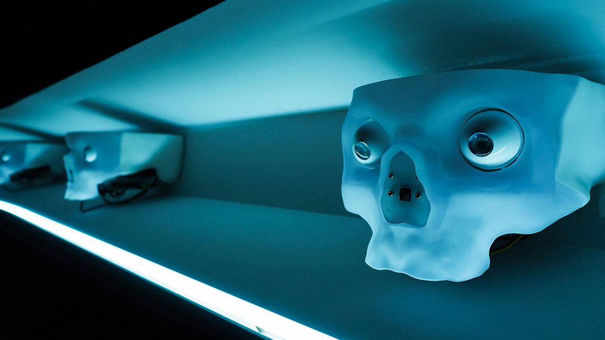 Очеловеченные объекты на вставке. Фото: Alessio Ferretti / unsplash.com