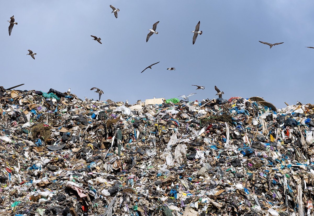 Полигон твердых бытовых отходов в поселке Круглово, Калининградская область, 22 августа 2025 года. Фото: Александр Подгорчук / Коммерсантъ / Sipa USA / Vida Press