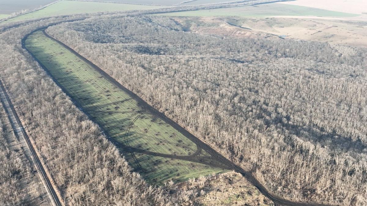 Позиция под Новоселовской «Попов лес». Вид с дрона. Фото: Александр Фёдоров