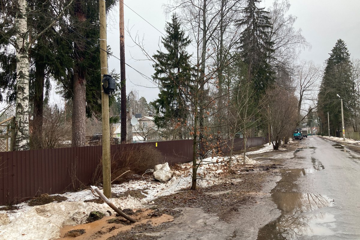 Сиверский. Фото: Ирина Гарина, специально для «Новой газеты Казахстан»