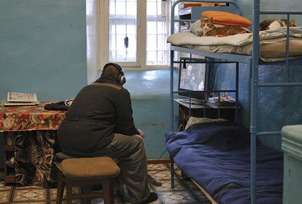 Колония «Вологодский пятак». Фото: Яндекс.Дзен