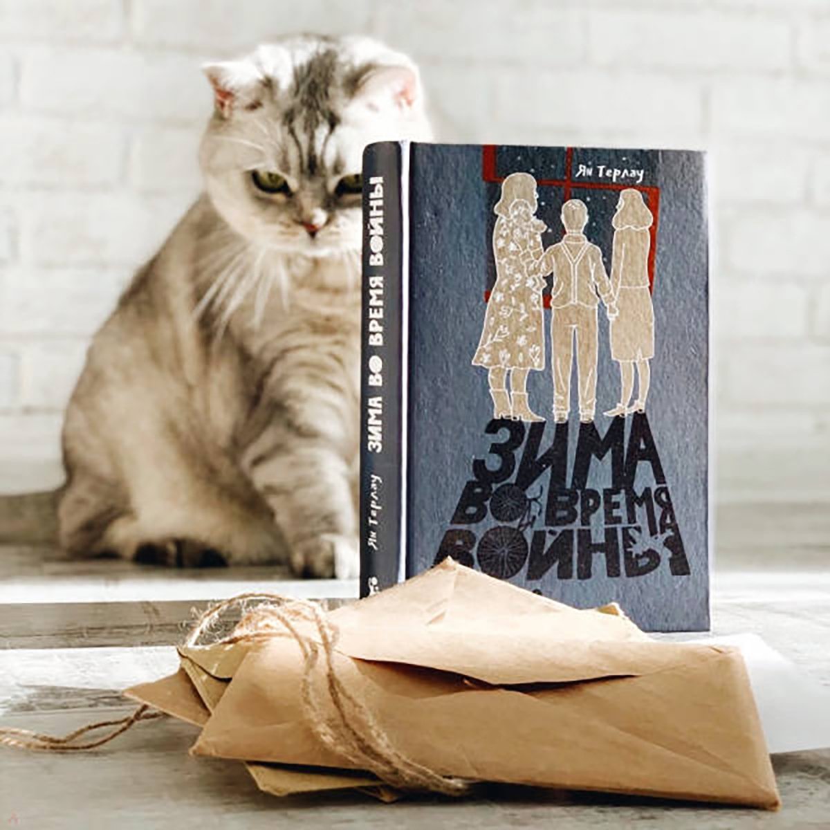 «Зима во время войны». Фото: labirint.ru