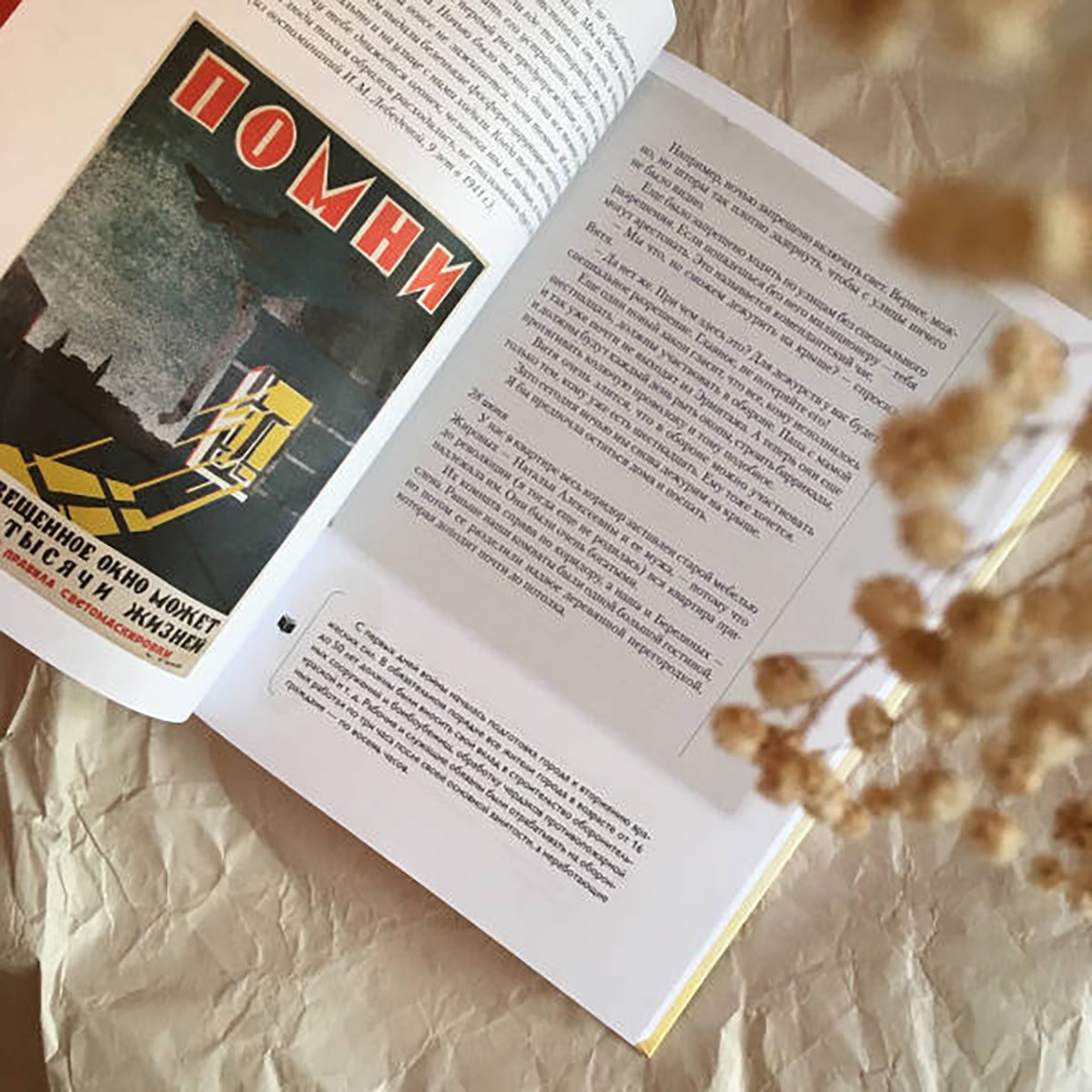 «Дневники Виктора и Нади». Фото: labirint.ru