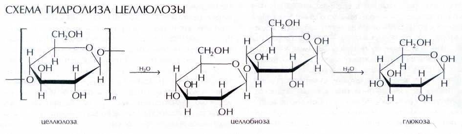 Фото: Solver Book