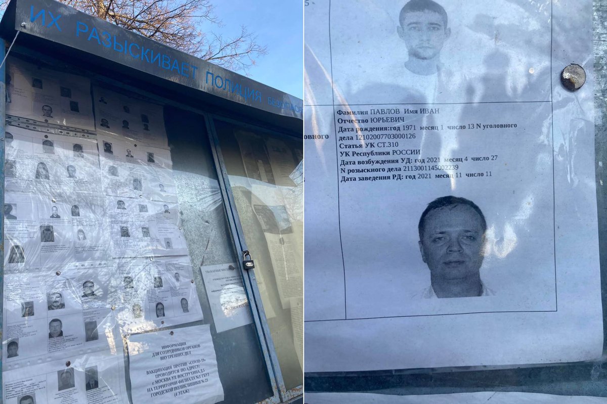 Фотография Ивана Павлова на доске «Их разыскивает полиция» в отделе внутренних дел «Лефортово», Москва, март 2022 года. Фото: kanalsobakipavlova / Telegram